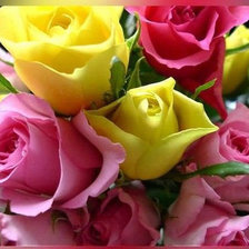 Схема вышивки «№645282»