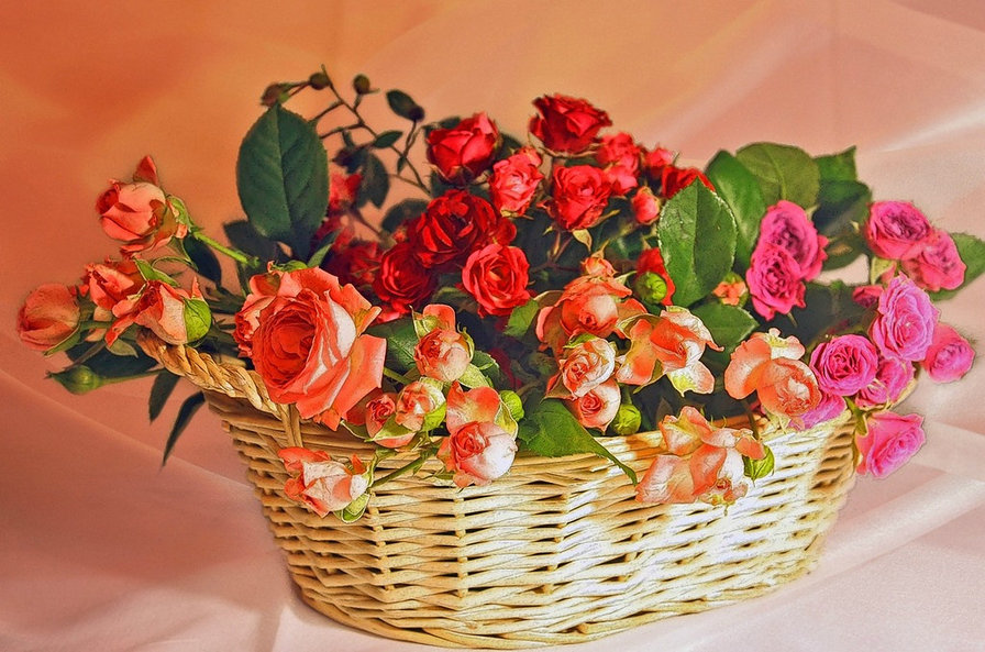 №645285 - оригинал