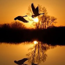 Схема вышивки «№645313»