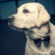 Схема вышивки «№645337»