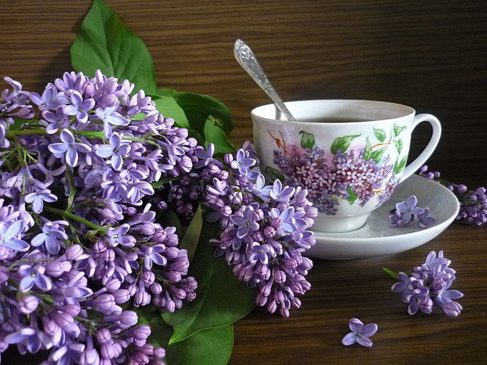 сирень - оригинал