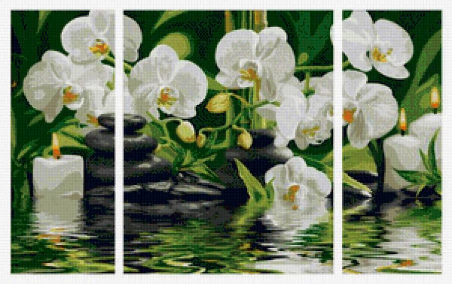 Триптих орхидея - букет, вода, камни, орхидеи, цветы - предпросмотр