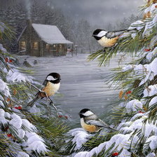 Птицы зимой