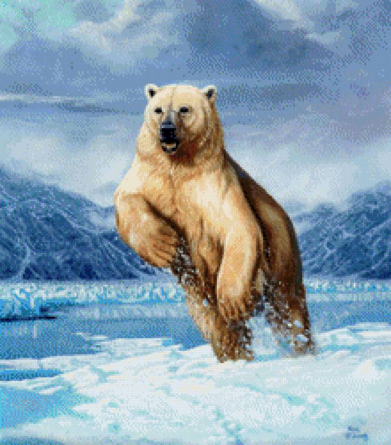 Белый медведь - предпросмотр
