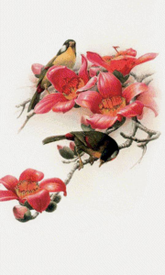 птицы - предпросмотр