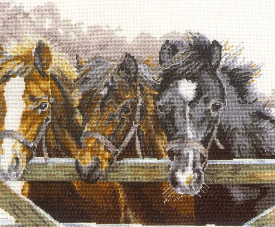 №646139 - оригинал