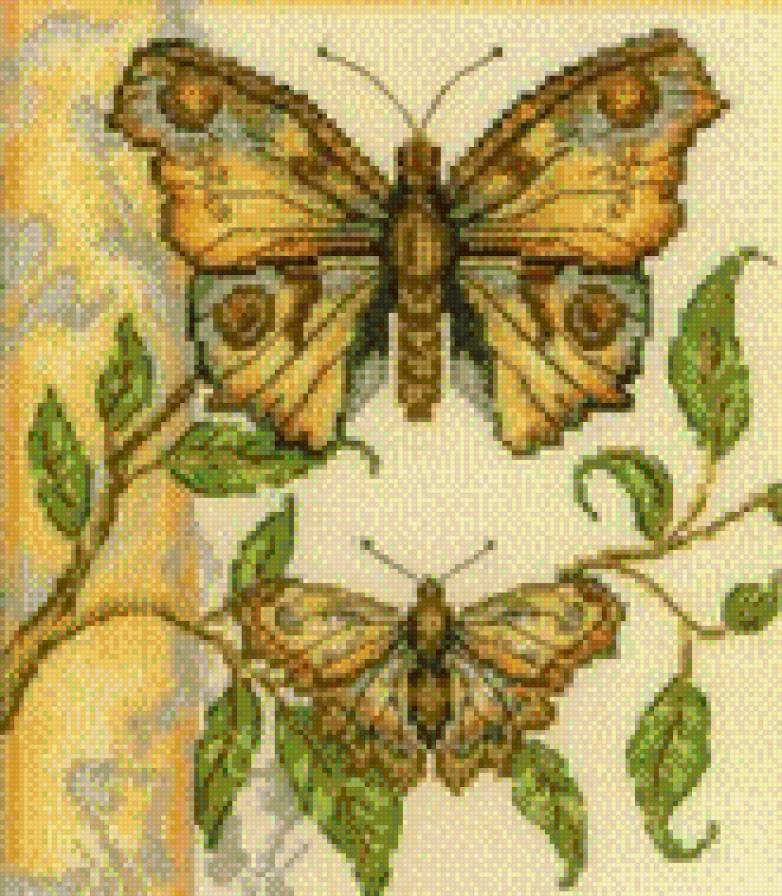 №646362 - предпросмотр