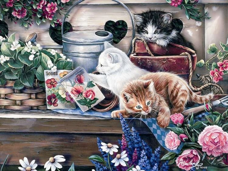 gattini - оригинал