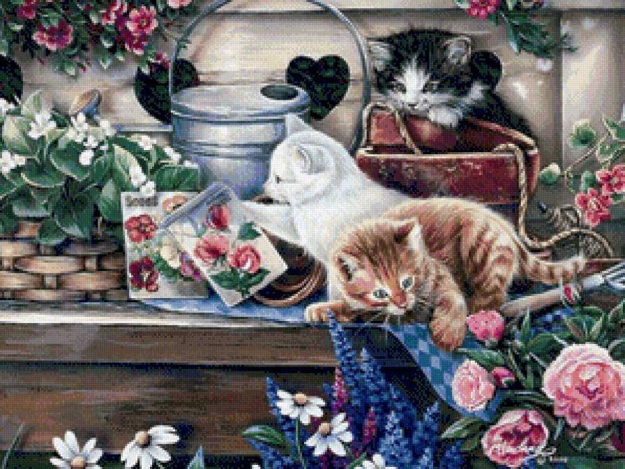 gattini - предпросмотр