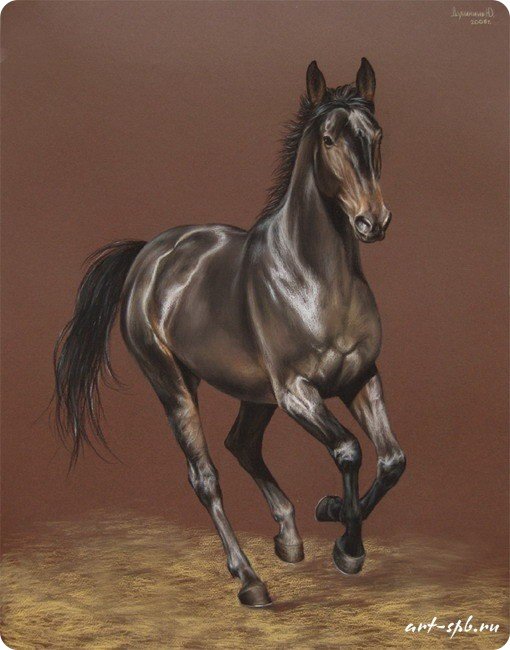 шоколадный красавец - животные, лошади - оригинал