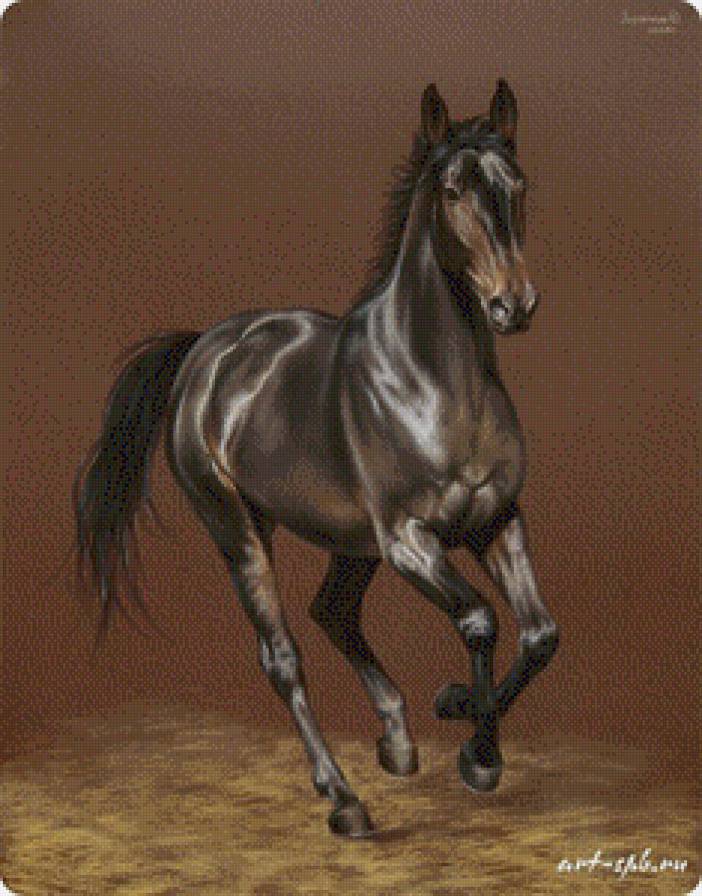 шоколадный красавец - лошади, животные - предпросмотр