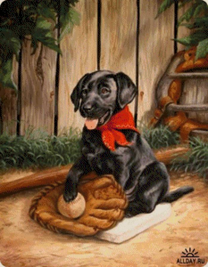 бейсболист - животные, собаки - предпросмотр