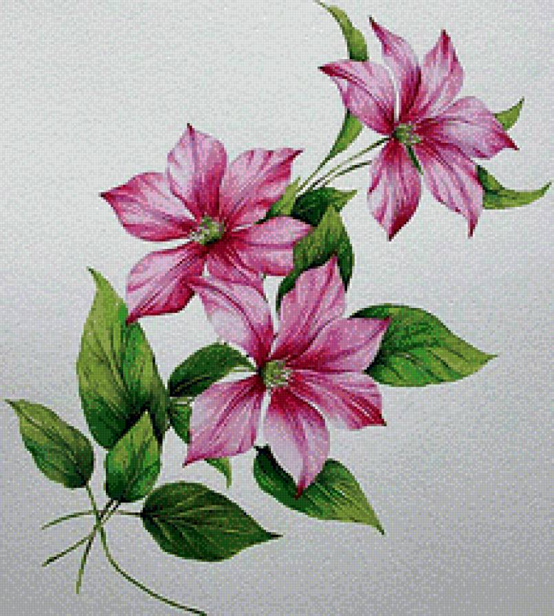 Веточка клематиса - предпросмотр