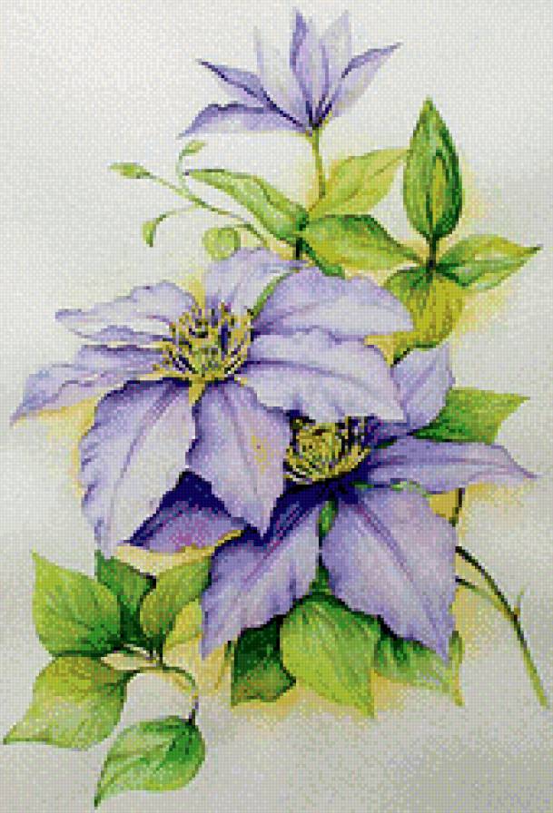 Веточка клематиса - предпросмотр