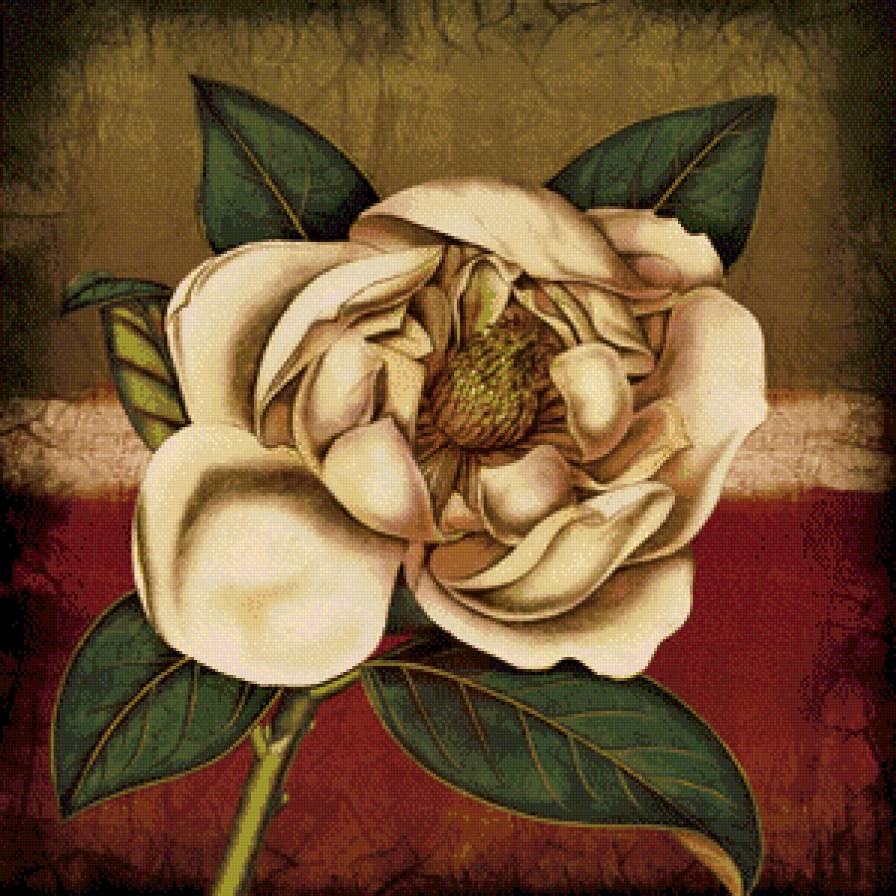 цветок - предпросмотр