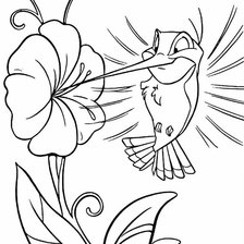 Схема вышивки «Колибри»