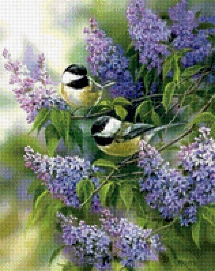 синицы и сирень - цветы, птицы - предпросмотр