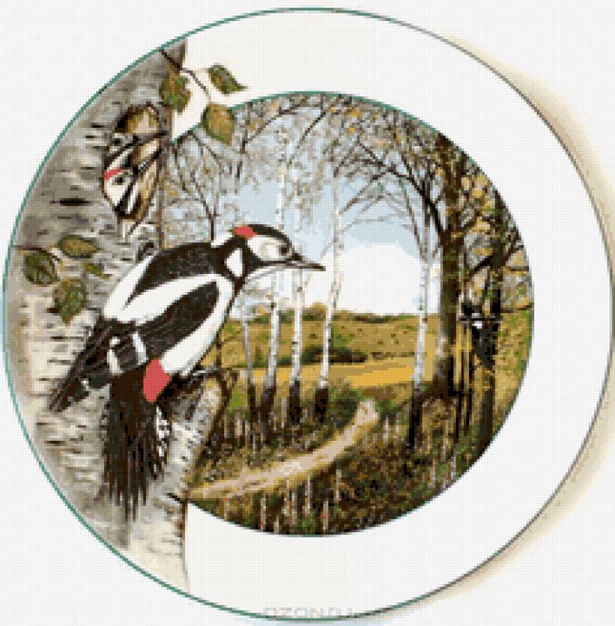 №647009 - предпросмотр