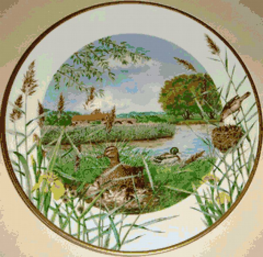 №647014 - предпросмотр