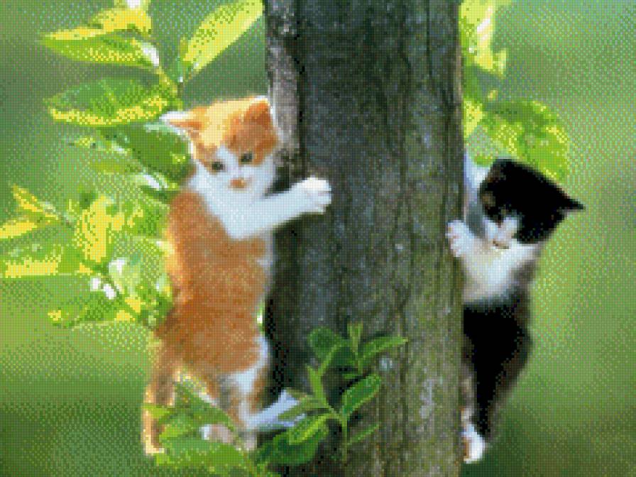 двое на дереве - котята, дерево, животные - предпросмотр