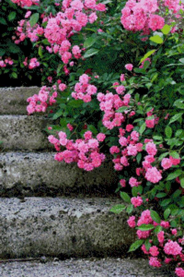 №647134 - предпросмотр