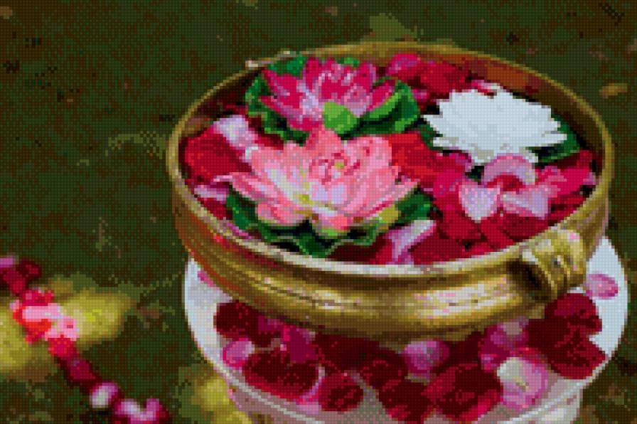 лотосы в чаше - цветы, лотосы - предпросмотр