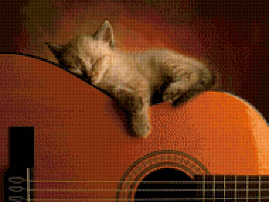 катёнок на гитаре - инструмент, музика, кошки, гитара, котенок - предпросмотр