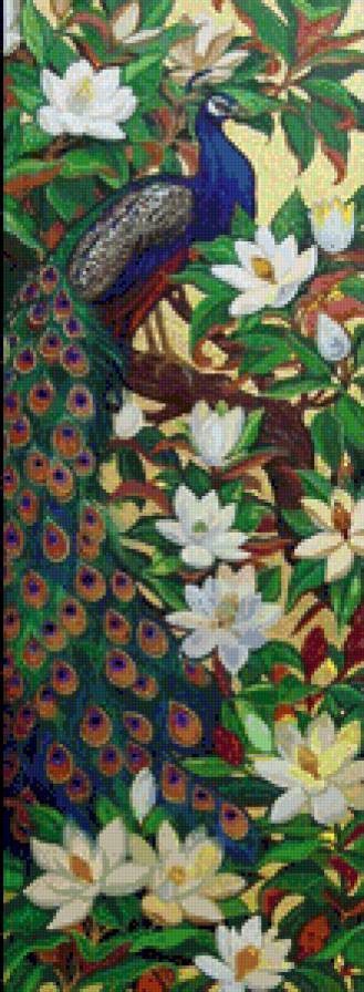 павлин среди цветов магнолии - картина живопись - предпросмотр