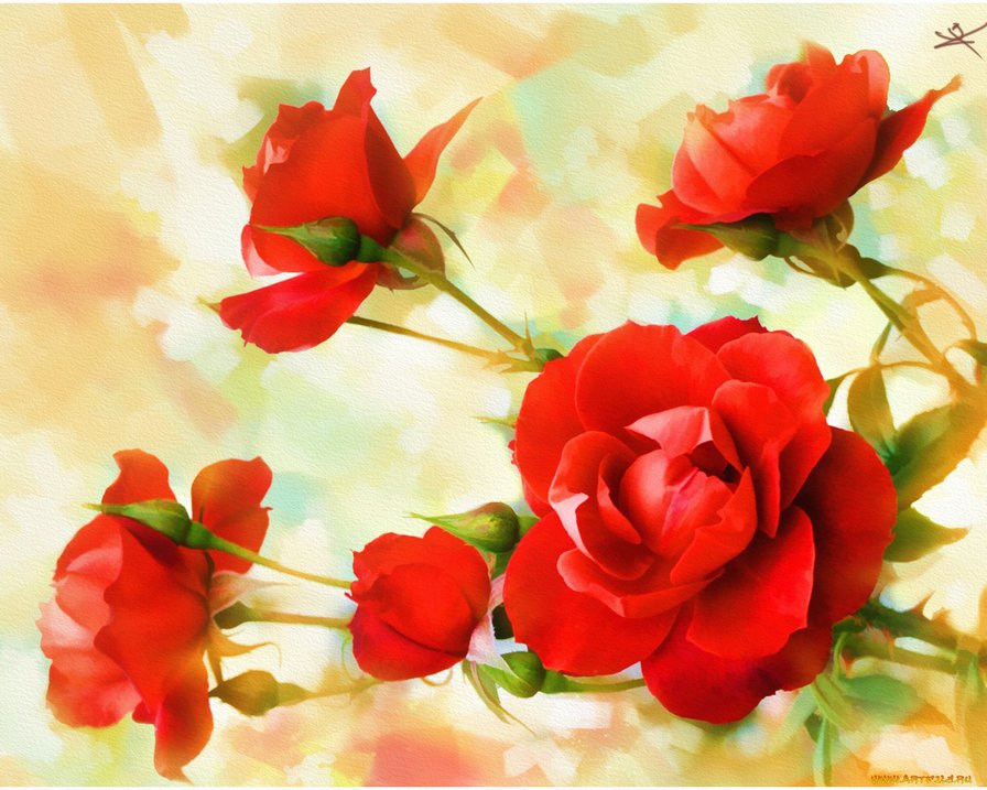 Розы - розы, цветы - оригинал