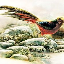 Схема вышивки «фазаны»