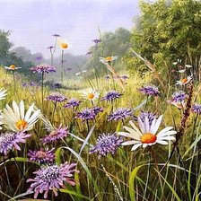 Схема вышивки «ромашки»