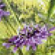 Предпросмотр схемы вышивки «полевые цветы» (№647519)