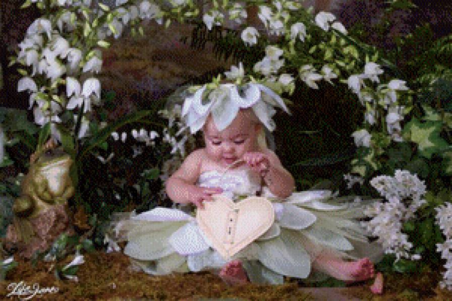 0017 - предпросмотр