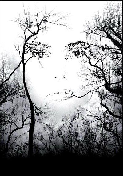 взгляд сквозь деревья - глаза - оригинал