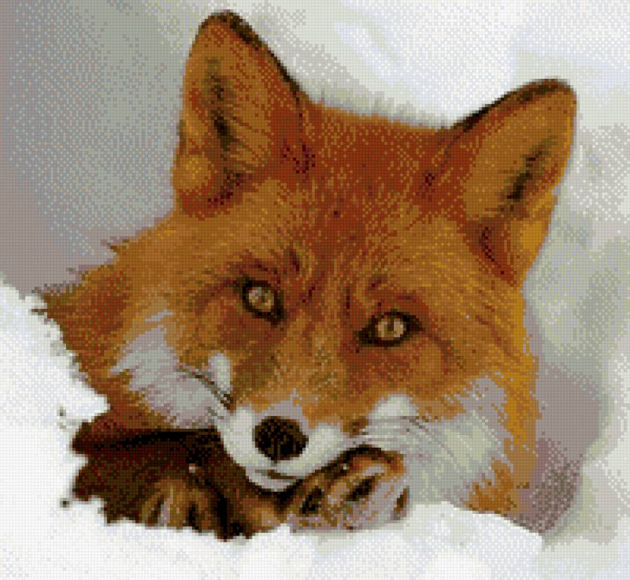 лисичка - животные - предпросмотр