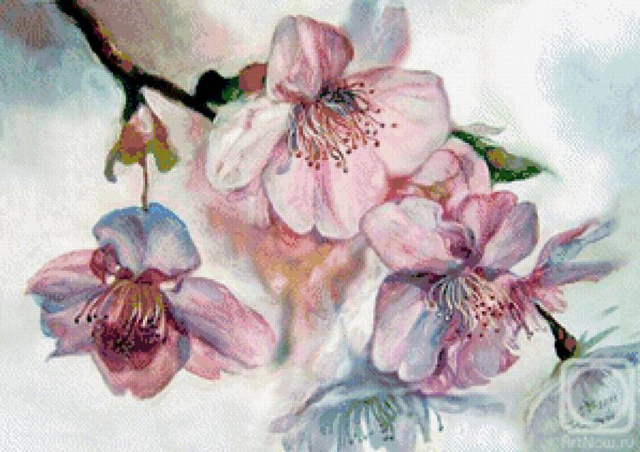 весенний цвет - ветка, весна, восток, нежность, магнолия - предпросмотр