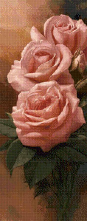 розы - предпросмотр