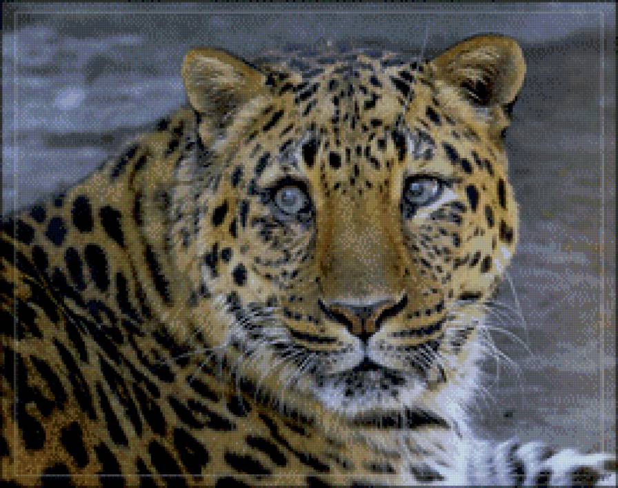 леопард грустит - грусть.животное. - предпросмотр