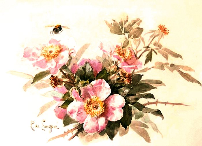 пчелка на цветах - цветы - оригинал