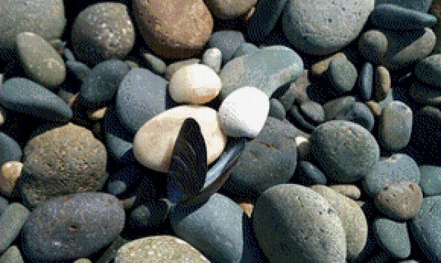 Морская композиция - ракушки, камушки, море - предпросмотр