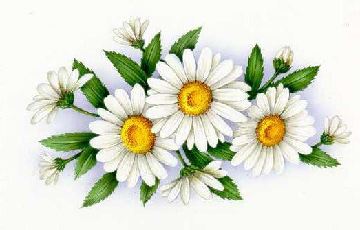 №648358 - оригинал