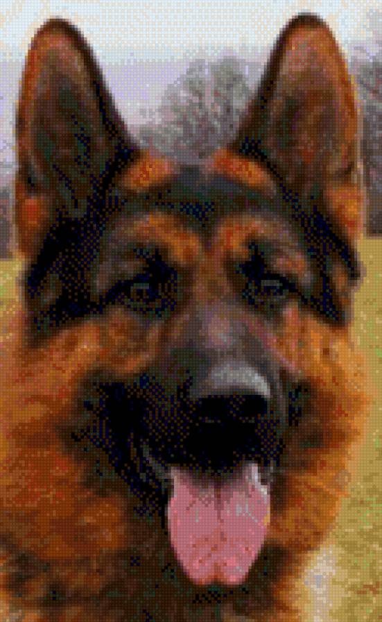 №648376 - предпросмотр