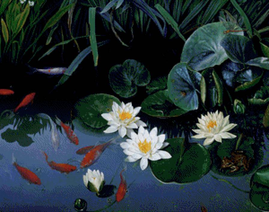 японский пруд с карпами - карп, япония, пруд, фен шуй, восток, счастье, удача, 9 карпов - предпросмотр