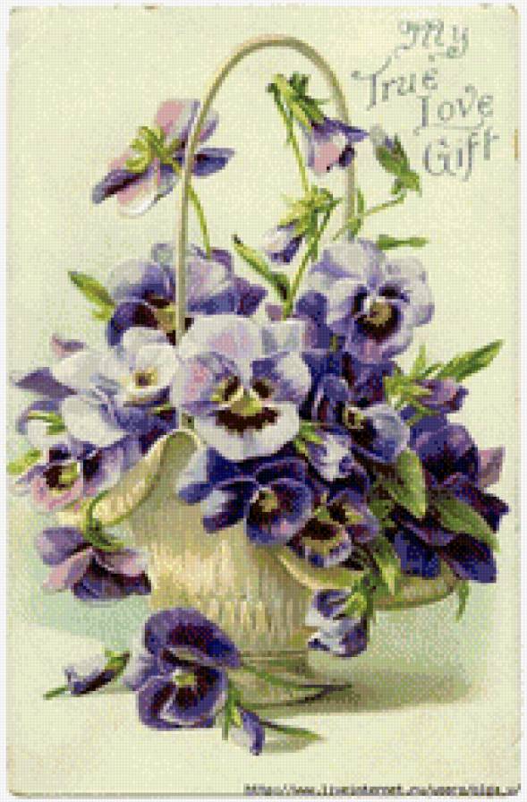 анютени глазки - цветы, анютены глазки, букет - предпросмотр