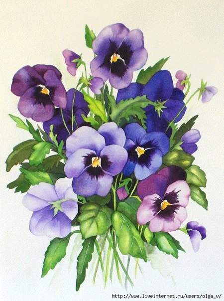 анютени глазки - букет, цветы, анютены глазки - оригинал