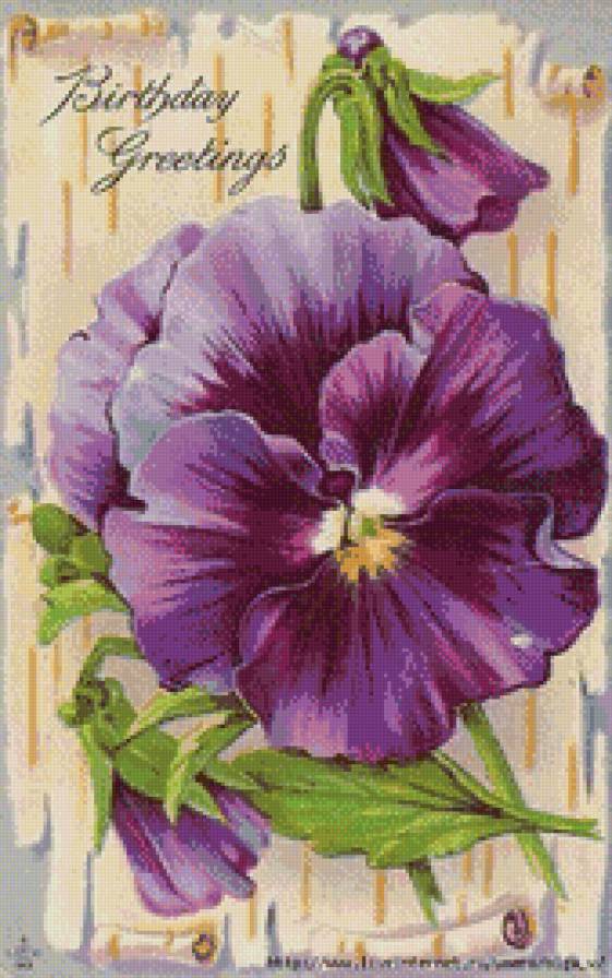 анютени глазки - букет, цветы, анютены глазки - предпросмотр