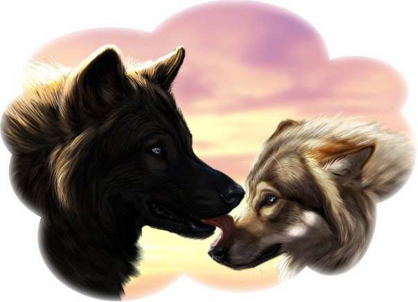 №648689 - любовь, волки - оригинал