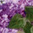 Предпросмотр схемы вышивки «сирень» (№648750)