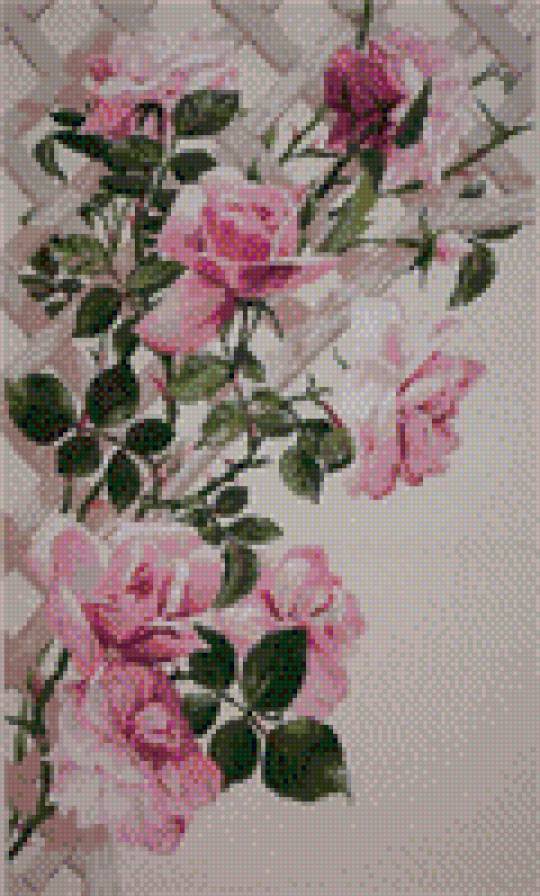 Розы на решетке - розы на решетке, риолис, розы - предпросмотр