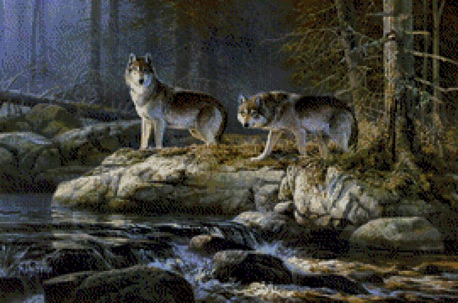 Don Kloetzke-Wilki - pejzaz, wilki, natura - предпросмотр